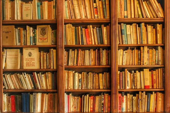 Ver Sacrum books